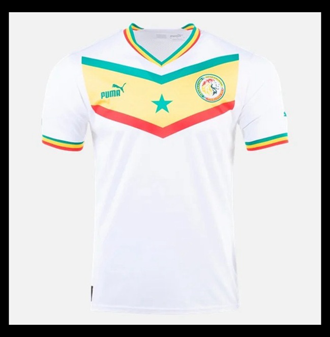 Lacné Futbalove Dresy Senegal Preč Majstrovstvá sveta 2022